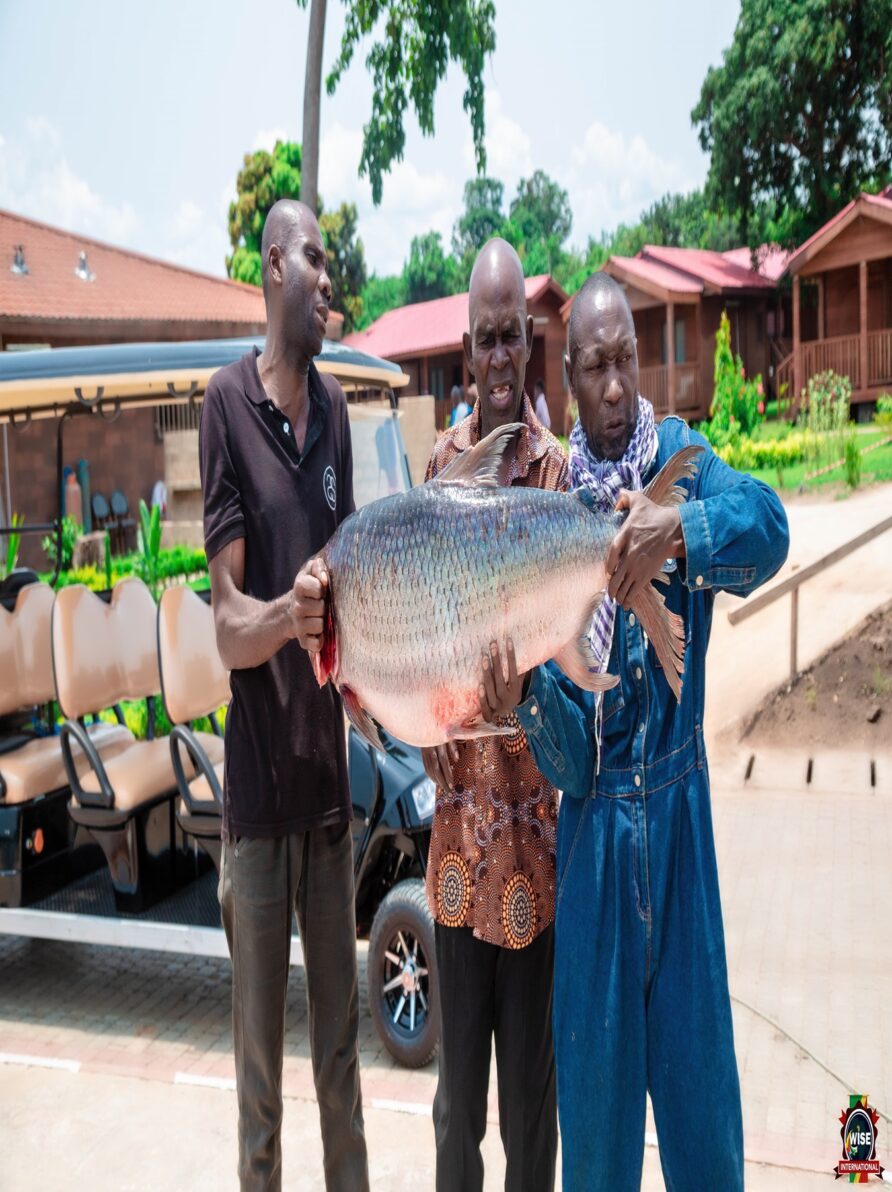 Competition du poisson Tigre « MBENGA »